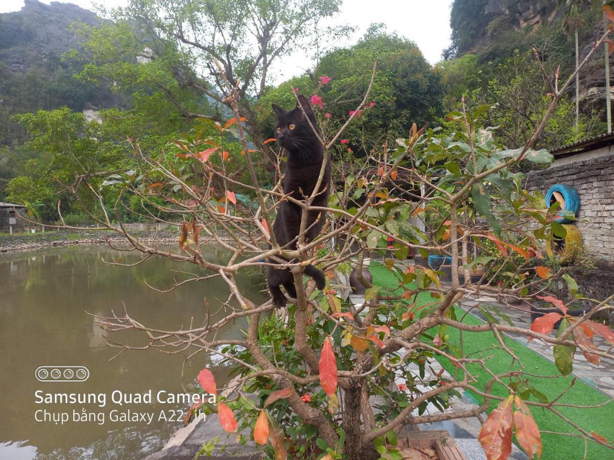 נין בין Trang An Pristine View Homestay מראה חיצוני תמונה