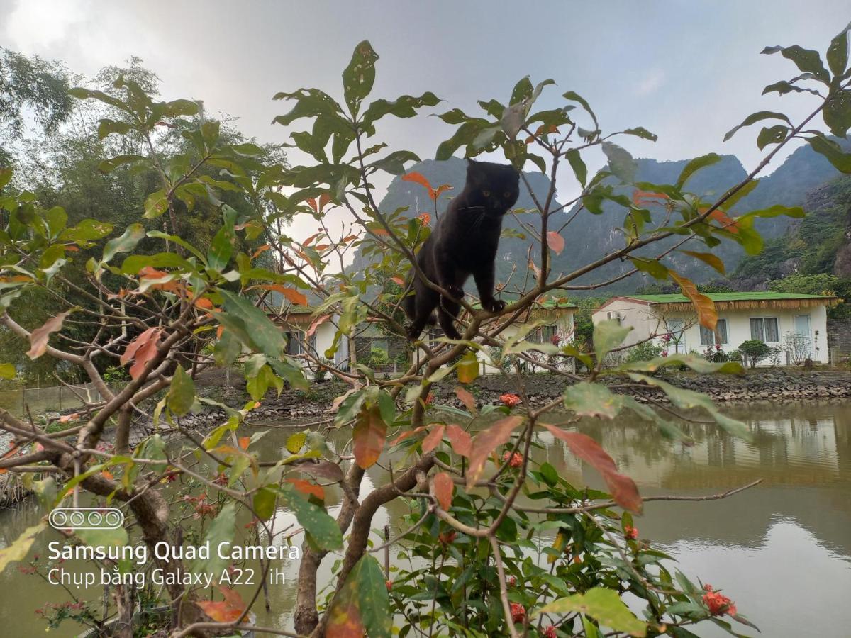 נין בין Trang An Pristine View Homestay מראה חיצוני תמונה